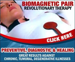 biomag-336x280-2
